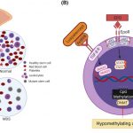 Myelodysplastic syndromes