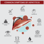 What is Hepatitis B?