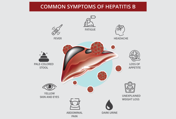 What is Hepatitis B?