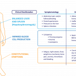 Myelofibrosis