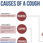 Cough: Causes, Symptoms, and Treatment