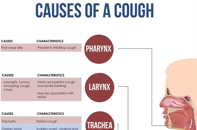 Cough: Causes, Symptoms, and Treatment