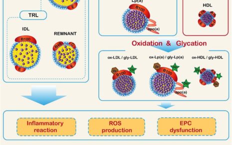 What is Diabetic Dyslipidemia