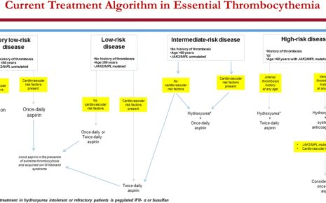 What is Thrombocythemia