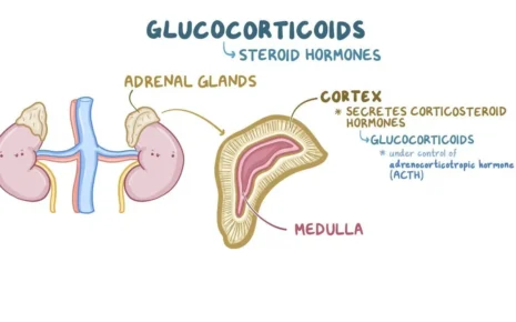 What is Glucocorticoids