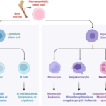 What is Malignancies