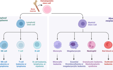 What is Malignancies