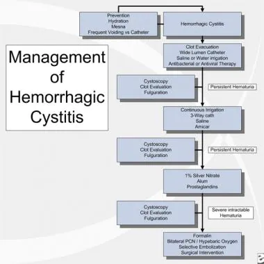 What is Hemorrhagic Cystitis