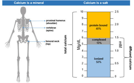 What is High Blood Calcium Levels and Bone Health