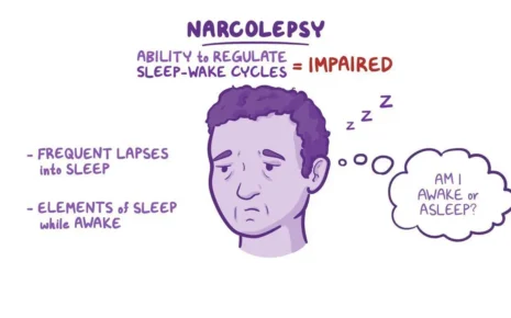 What is Narcolepsy?