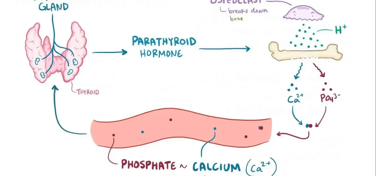 What is Hyperphosphatemia?