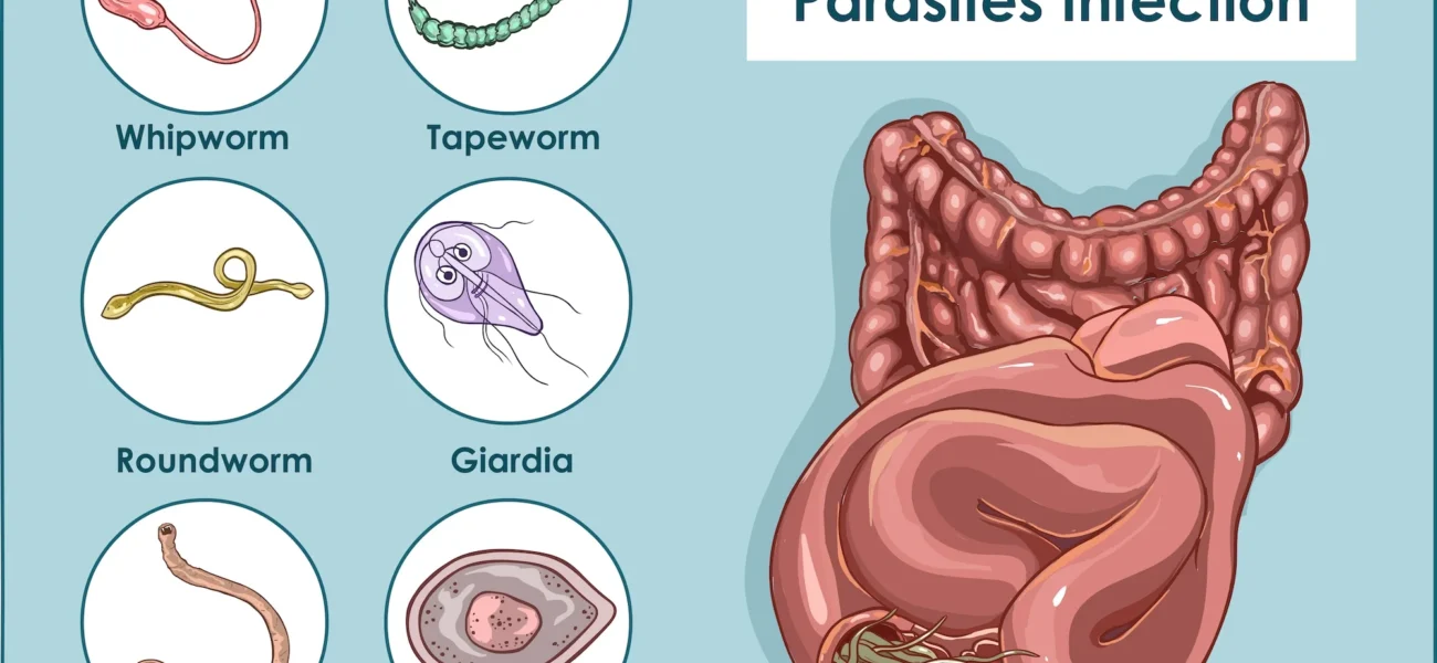 what is Intestinal Parasites