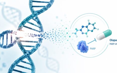 Illustration showing DNA repair process and Olaparib PARP inhibitor mechanism